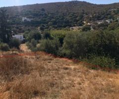 Οικόπεδο Σε Μια Ήσυχη Και Καταπράσινη Περιοχή Της Λέρου - Εικόνα 4/11