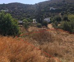 Οικόπεδο Σε Μια Ήσυχη Και Καταπράσινη Περιοχή Της Λέρου - Εικόνα 5/11