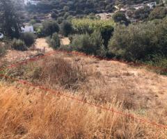 Οικόπεδο Σε Μια Ήσυχη Και Καταπράσινη Περιοχή Της Λέρου - Εικόνα 8/11