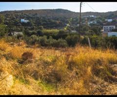 Οικόπεδο Σε Μια Ήσυχη Και Καταπράσινη Περιοχή Της Λέρου - Εικόνα 10/11