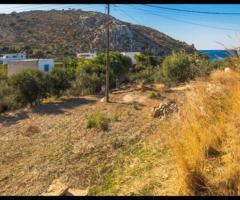 Οικόπεδο Σε Μια Ήσυχη Και Καταπράσινη Περιοχή Της Λέρου - Εικόνα 11/11