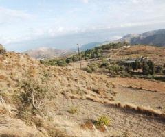 Οικόεδο Με Πανοραμική Θέα Το Νησί