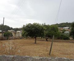 Οικόπεδο Που Βρίσκεται Πολύ Κοντά Στο Λακκί