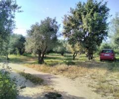 ΡΑΧΕΣ ΑΓΙΟΣ ΔΗΜΗΤΡΙΟΣ ΜΟΝΟΚΑΤΟΙΚΙΑ - Εικόνα 4/12