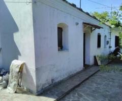 ΡΑΧΕΣ ΑΓΙΟΣ ΔΗΜΗΤΡΙΟΣ ΜΟΝΟΚΑΤΟΙΚΙΑ - Εικόνα 10/12