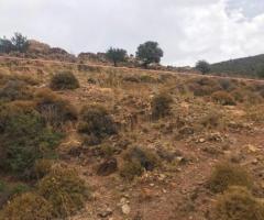 Οικόπεδο Κοντά Στη Θάλασσα - Εικόνα 7/10