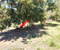 ΕΥΚΑΙΡΙΑ ΓΙΑ ΑΜΕΣΗ ΠΩΛΗΣΗ! Πωλείται στους Αρμένους Ρεθύμνου οικόπεδο άρτιο και οικοδομήσιμο 700 τ.μ. - Εικόνα 4/8