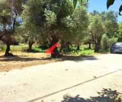 ΕΥΚΑΙΡΙΑ ΓΙΑ ΑΜΕΣΗ ΠΩΛΗΣΗ! Πωλείται στους Αρμένους Ρεθύμνου οικόπεδο άρτιο και οικοδομήσιμο 700 τ.μ. - Εικόνα 6/8