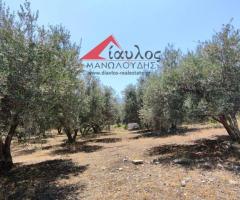 Πωλούνται στο Πέραμα Ρεθύμνου, εντός σχεδίου πόλεως - Εικόνα 5/6