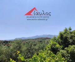 Πωλούνται στο Πέραμα Ρεθύμνου, εντός σχεδίου πόλεως - Εικόνα 6/6