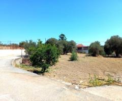 Οικόπεδο γωνιακό, οικοδομήσιμο, με θέα στην Αλφά Δήμου Μυλοποτάμου Ρεθύμνου - Εικόνα 5/10