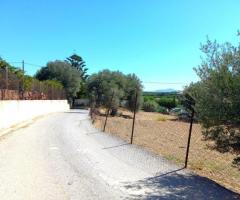 Οικόπεδο γωνιακό, οικοδομήσιμο, με θέα στην Αλφά Δήμου Μυλοποτάμου Ρεθύμνου - Εικόνα 6/10