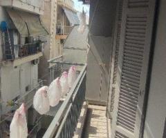 Θεσσαλονίκη κέντρο Ολυμπιάδος 53 τμ 2ος όροφος