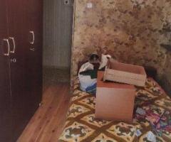 Θεσσαλονίκη κέντρο Ολυμπιάδος 53 τμ 2ος όροφος - Εικόνα 10/12