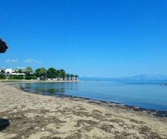 Λειβανατες οικοπεδο παραθαλασσιο 1700 τμ