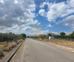 Οικιστικό Οικόπεδο !! - Εικόνα 6/8