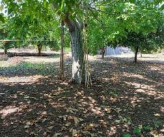 Αρκιτσα παραθαλασσια μονοκατοικια 67τμ σε οικοπεδο 1500 τμ - Εικόνα 11/12