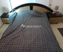 ΛΥΓΑΡΙΑ ΜΟΝΟΚΑΤΟΙΚΙΑ ΕΝΟΙΚΙΑΣΕΙΣ 14319 - Εικόνα 6/12