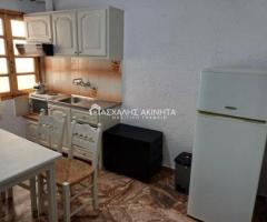 ΑΜΜΟΥΔΑΡΑ 2ΧΩΡΗ ΓΚΑΡΣΟΝΙΕΡΑ ΕΝΟΙΚΙΑΣΕΙΣ 18564 - Εικόνα 5/12