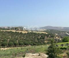 ΒΑΣΙΛΕΙΕΣ ΜΕΖΟΝΕΤΑ-ΜΟΝΟΚΑΤΟΙΚΙΑ ΠΩΛΗΣΕΙΣ 18437 - Εικόνα 6/6