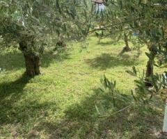 Πωλείται μονοκατοικία 90τμ στην Καλλικρατεια Χαλκιδικής - Εικόνα 9/12