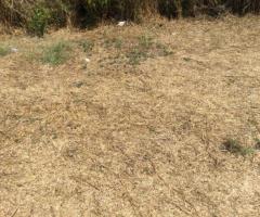 ΟΙΚΟΠΕΔΟ 188μ² ΣΕ ΝΟΜΙΤΣΙ Δ. ΜΑΝΗΣ