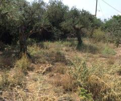 ΟΙΚΟΠΕΔΟ 188μ² ΣΕ ΝΟΜΙΤΣΙ Δ. ΜΑΝΗΣ - Εικόνα 4/4