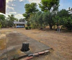 Πωλείται μοναδική μονοκατοικία!! - Εικόνα 9/12