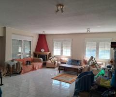 ΠΑΡΑΘΑΛΑΣΣΙΟ ΟΡΟΦΟΔΙΑΜΕΡΙΣΜΑ (ΚΟΥΒ 100 916)