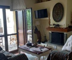 ΜΕΖΟΝΕΤΑ ΣΤΟ ΠΗΛΙΟ - Εικόνα 7/12