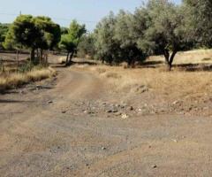 ΠΩΛΗΣΗ ΟΙΚΟΠΕΔΟΥ 18670 ΤΜ