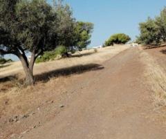 ΠΩΛΗΣΗ ΟΙΚΟΠΕΔΟΥ 18670 ΤΜ - Εικόνα 6/12