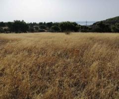 ΠΩΛΗΣΗ ΟΙΚΟΠΕΔΟΥ 18670 ΤΜ - Εικόνα 7/12