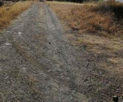 ΠΩΛΗΣΗ ΟΙΚΟΠΕΔΟΥ 18670 ΤΜ - Εικόνα 8/12