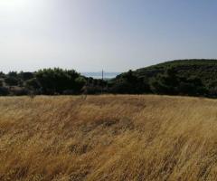 ΠΩΛΗΣΗ ΟΙΚΟΠΕΔΟΥ 18670 ΤΜ - Εικόνα 9/12