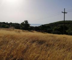 ΠΩΛΗΣΗ ΟΙΚΟΠΕΔΟΥ 18670 ΤΜ - Εικόνα 12/12