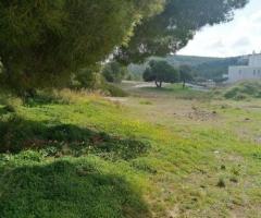 ΠΩΛΗΣΗ ΟΙΚΟΠΕΔΩΝ 1300ΤΜ ΑΓΙΟ ΚΩΝ/ΝΟ