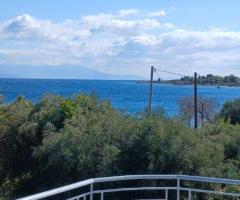 Πωλείται παραθαλάσσιο ακίνητο στην παραλία του του Ελαιώνα Αιγίου, μόλις 70 μ. απ - Εικόνα 9/9