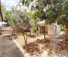 Επενδυτική Ευκαιρία Γλυφάδα: Ισόγειο 40τμ (Νομικά Αποθήκη) με 100m² Ιδιωτικό Κήπο - Εικόνα 4/12
