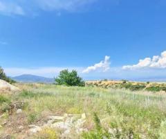 Οικόπεδο 10.000 τ.μ. – Σχηματάρι (Βιομηχανική Ζώνη) 450.000€ - Εικόνα 5/12