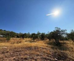 Αγροτεμάχιο προς πώληση Φούρνοι (Κρανίδι), € 55.000, 6.500 τ.μ.