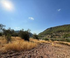 Αγροτεμάχιο προς πώληση Φούρνοι (Κρανίδι), € 55.000, 6.500 τ.μ. - Εικόνα 6/12