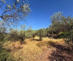 Αγροτεμάχιο προς πώληση Φούρνοι (Κρανίδι), € 55.000, 6.500 τ.μ. - Εικόνα 7/12
