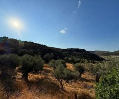 VIP οικοδομήσιμο κτήμα με πλήρη ιδιωτικότητα και υπέροχη θέα - Εικόνα 4/11