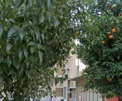 Οικόπεδο προς Πώληση Άγιος Αντώνιος (Περιστέρι), 152 τ.μ. | €152.000 - Εικόνα 4/7