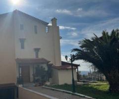 ΥΠΈΡΟΧΗ ΜΕΖΟΝΕΤΑ 300 Τ.Μ ΜΕ ΑΠΕΡΙΟΡΙΣΤΗ ΘΕΑ