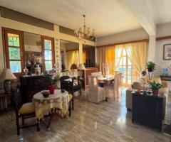 ΥΠΈΡΟΧΗ ΜΕΖΟΝΕΤΑ 300 Τ.Μ ΜΕ ΑΠΕΡΙΟΡΙΣΤΗ ΘΕΑ - Εικόνα 4/12