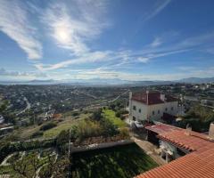 ΥΠΈΡΟΧΗ ΜΕΖΟΝΕΤΑ 300 Τ.Μ ΜΕ ΑΠΕΡΙΟΡΙΣΤΗ ΘΕΑ - Εικόνα 11/12