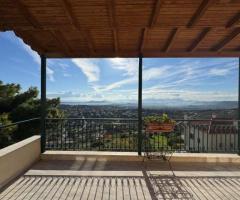 ΥΠΈΡΟΧΗ ΜΕΖΟΝΕΤΑ 300 Τ.Μ ΜΕ ΑΠΕΡΙΟΡΙΣΤΗ ΘΕΑ - Εικόνα 12/12