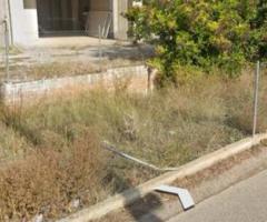 Commercial Building for Sale - Εικόνα 4/4